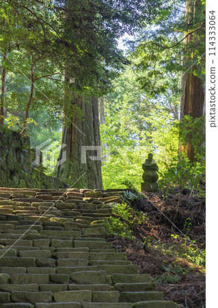 Muroji Temple: The steep approach to Okunoin Muroji Temple: The steep approach to Okunoin 114333064