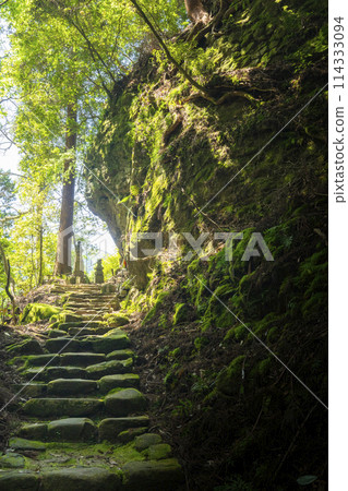 室生寺:通往奧之院的陡峭道路 室生寺:通往奧之院的陡峭道路 114333094