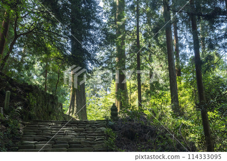 室生寺:通往奧之院的陡峭道路 室生寺:通往奧之院的陡峭道路 114333095