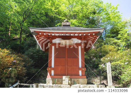 Fresh greenery at Muroji Temple Yakushido 114333096