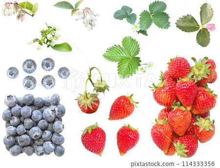 Cutout material set - Fruit 8 114333356