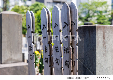 A gravestone with the words "Nyuichi-hoku" written on it in the cemetery 114333379