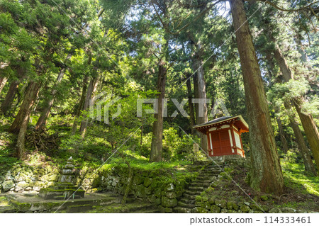 奈良、綠意盎然的室生寺、船園外庵 114333461