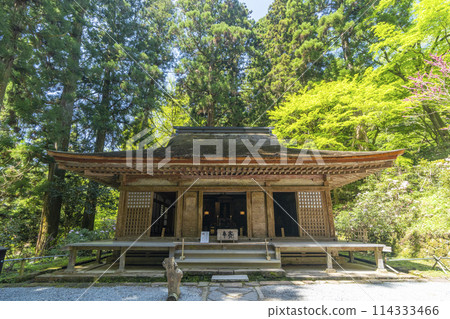 新綠季節的奈良室寺彌勒堂 114333466