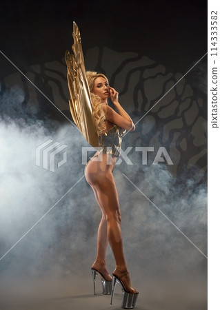 Sexy young woman in golden costume in studio Sexy young woman in golden costume in studio 114333582