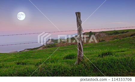 Hawaii, landscape and hill in countryside with fence, wood and nature with peace for life. Field, meadow and sky with moon, outdoor and location with environment for vacation on holiday to relax 114333706
