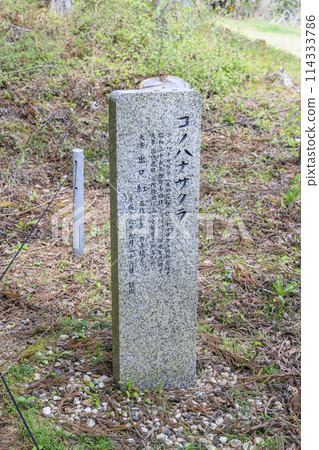 水上山水上神社 114333786