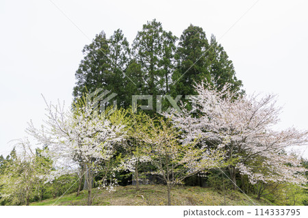 Minamikamiyama Minamikami Shrine Minamikamiyama Minamikami Shrine 114333795