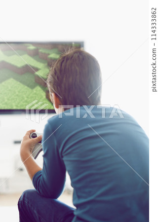 Video, game and boy in home playing with internet connection, weekend and challenge from back. Technology, software and online gamer child in living room with computer screen for creative digital app 114333862