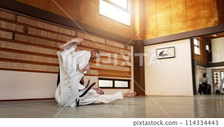 Black belt students, throw or sensei in dojo to start practice lesson, discipline or teaching self defense. Japanese master, people learning combat or athletes in fighting class, training or aikidoka 114334443