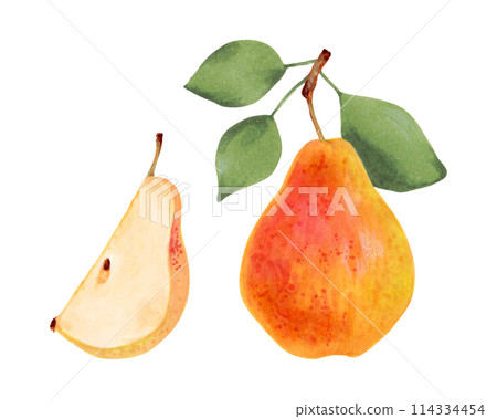 Yellow pear with leaves. Whole and pieces of berries. Botanical watercolor and marker illustration. Ripe fruits from a tree. Vegetarian products. Hand drawn isolated art. Organic healthy food. Yellow pear with leaves. Whole and pieces of berries. Botanical watercolor and marker illustration. Ripe fruits from a tree. Vegetarian products. Hand drawn isolated art. Organic healthy food. 114334454