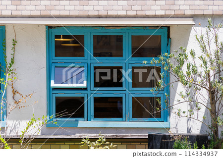 Green windows in a store with white walls 114334937