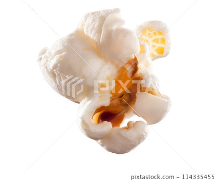 Corn, single and popcorn snack in studio for nutrition or carbs, diet and food isolated on white background. Air popped, grain and texture or detail of kernel for healthy calorie or digestive system. 114335455