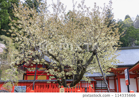 Kinzaka神社 114335666