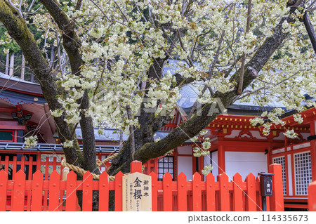 Kinzaka Shrine Kinzaka Shrine 114335673