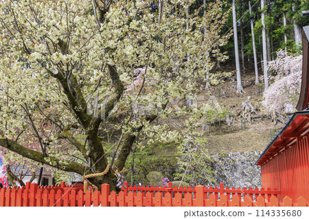 Kinzaka Shrine 114335680
