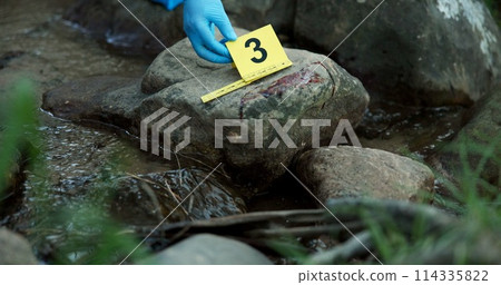 Hands, evidence marker and forensic for investigation at crime scene with blood on rocks or gloves for safety in river. Csi expert, investigator and case research with observation by water stream 114335822