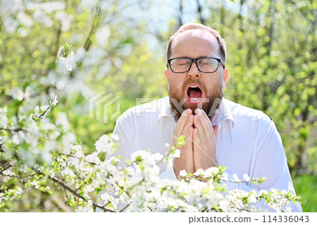 Man allergic suffering from seasonal allergy at spring in blossoming garden at springtime. Young bearded man with glasses sneezing in front of blooming tree. Spring allergy concept Man allergic suffering from seasonal allergy at spring in blossoming garden at springtime. Young bearded man with glasses sneezing in front of blooming tree. Spring allergy concept 114336043