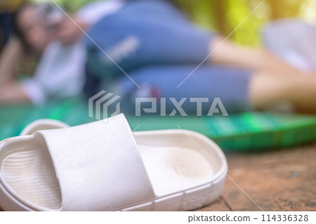 Eco tourism, Green tourism, Sustainable tourism and Ecosystem and preserve nature concept, Travel nature conservation 114336328