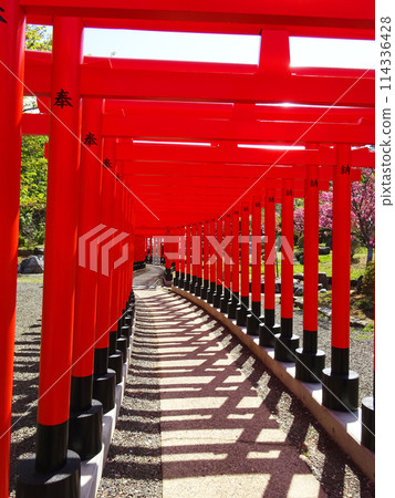 Endless red torii gates Endless red torii gates 114336428