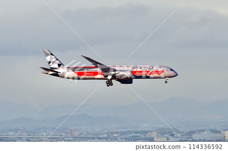 阿提哈德航空 789 關西機場進場 阿提哈德航空 789 關西機場進場 114336592