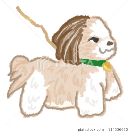 Shih Tzu walking Shih Tzu walking 114336620
