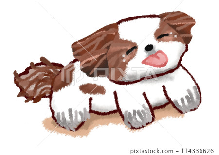 Shih Tzu dog crying tears of joy 114336626