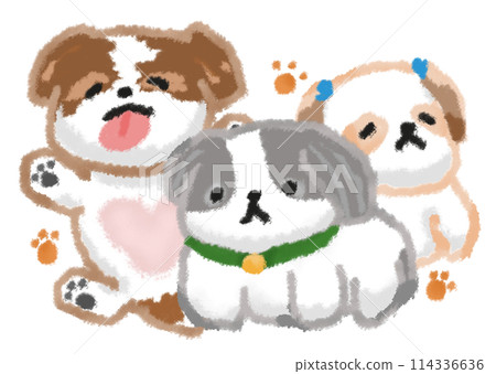 三隻悠閒的西施狗的插圖 114336636