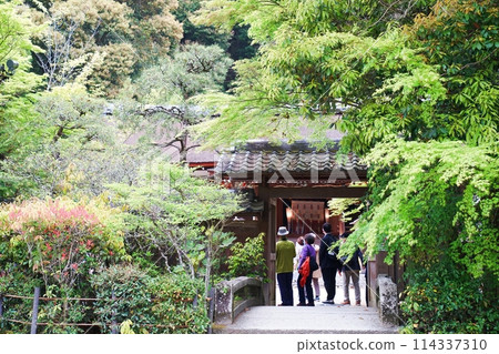 京都宇治宇治神社正門及參拜殿(晚春) 京都宇治宇治神社正門及參拜殿(晚春) 114337310