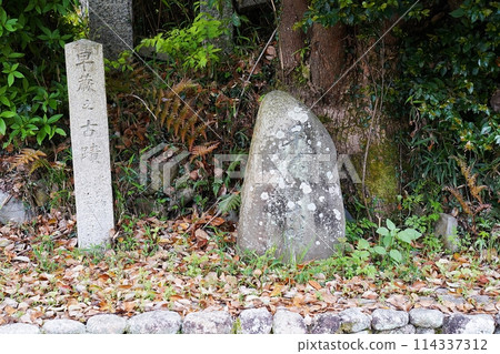 京都, 宇治, 宇治十三町, 早期蕨菜舊蹟（宇治神社北側）（晚春） 114337312