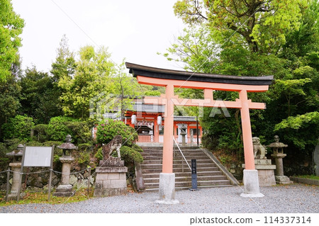 京都 宇治 宇治神社中門和鳥居（晚春） 114337314