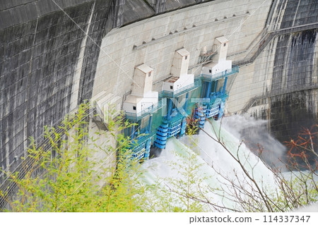 Kyoto, Uji, Amagase Dam discharge (from the right bank) (late spring) 114337347