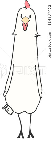 A chicken stretches out and looks at you 114337452