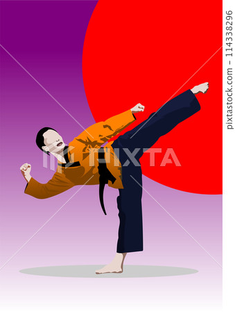 Oriental combat sports. Colored 3d vector illustration Oriental combat sports. Colored 3d vector illustration 114338296