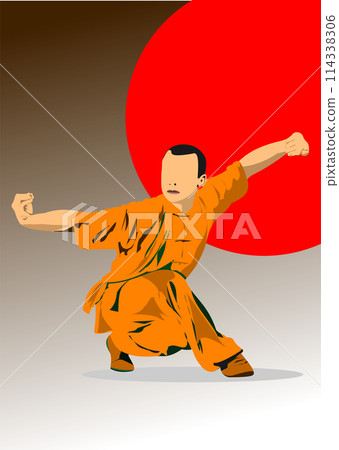 Oriental combat sports. Colored 3d vector illustration Oriental combat sports. Colored 3d vector illustration 114338306