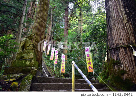 金持神社 鳥取神社 金持神社 鳥取神社 114338441