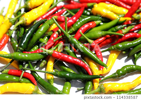 五彩辣椒 114338587