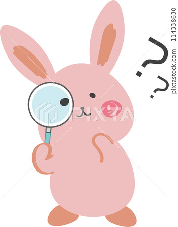 Rabbit, cute, question 114338630
