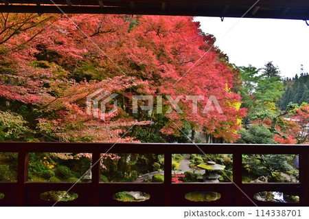 津和野島根 秋葉 舊堀地庭園 津和野島根 秋葉 舊堀地庭園 114338701