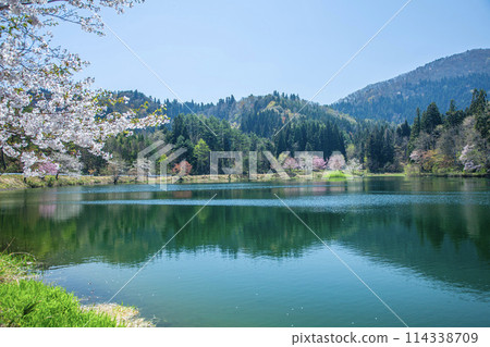 Spring at Prefectural Forest Spring at Prefectural Forest 114338709