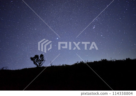 Akiyoshidai Karst Yamaguchi Night sky Starry sky Akiyoshidai Karst Yamaguchi Night sky Starry sky 114338804