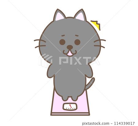 秤上驚訝的黑貓 秤上驚訝的黑貓 114339017