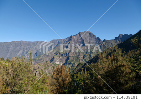 The Nez de Boeuf in Reunion Island 114339191