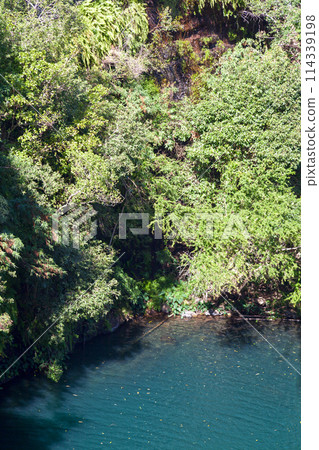 The Bassin Cormoran in Reunion Island 114339198