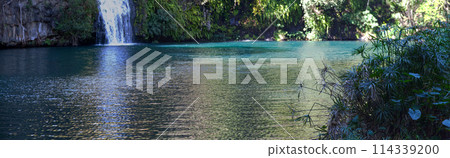 Waterfall at the Bassin Cormoran in Reunion Island Waterfall at the Bassin Cormoran in Reunion Island 114339200