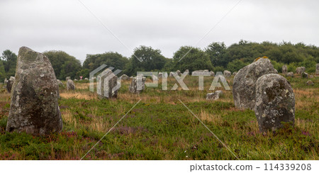 The Carnac stones in Brittany The Carnac stones in Brittany 114339208