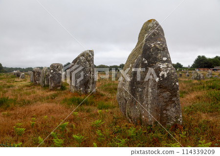 The Carnac stones in Brittany The Carnac stones in Brittany 114339209