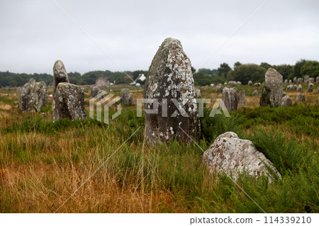 The Carnac stones in Brittany The Carnac stones in Brittany 114339210