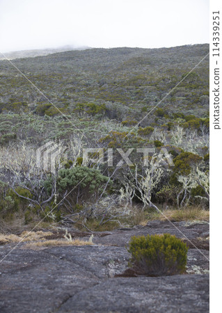 Roche Ecrite Mountain in Reunion Island 114339251