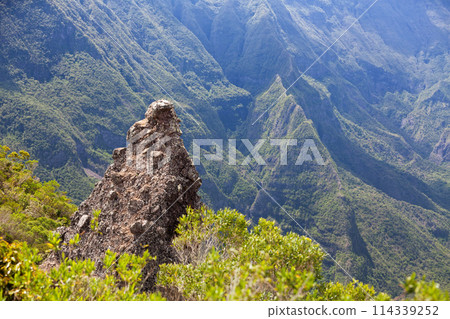 Roche Vert Bouteille in Reunion Island Roche Vert Bouteille in Reunion Island 114339252